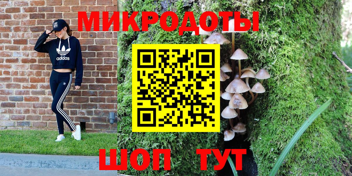 Кашира  Галлюциногенные грибы мухоморы  Вход с VPN  Галлюциногенные грибы прущие грибы 